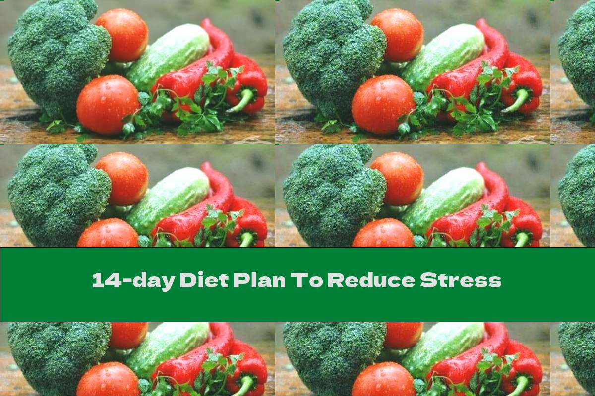 14 Day Diet Plan Pdf Best Culinary And Food