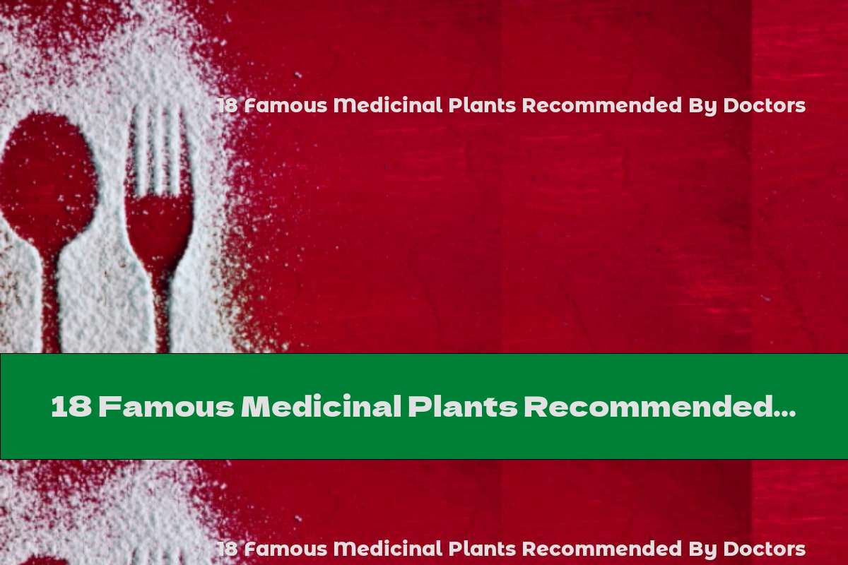 18 Famous Medicinal Plants Recommended By Doctors