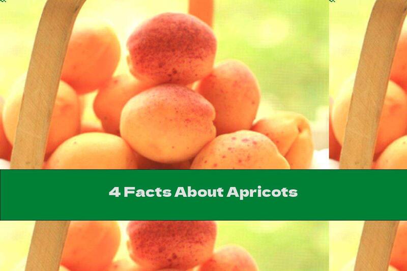 4 Facts About Apricots