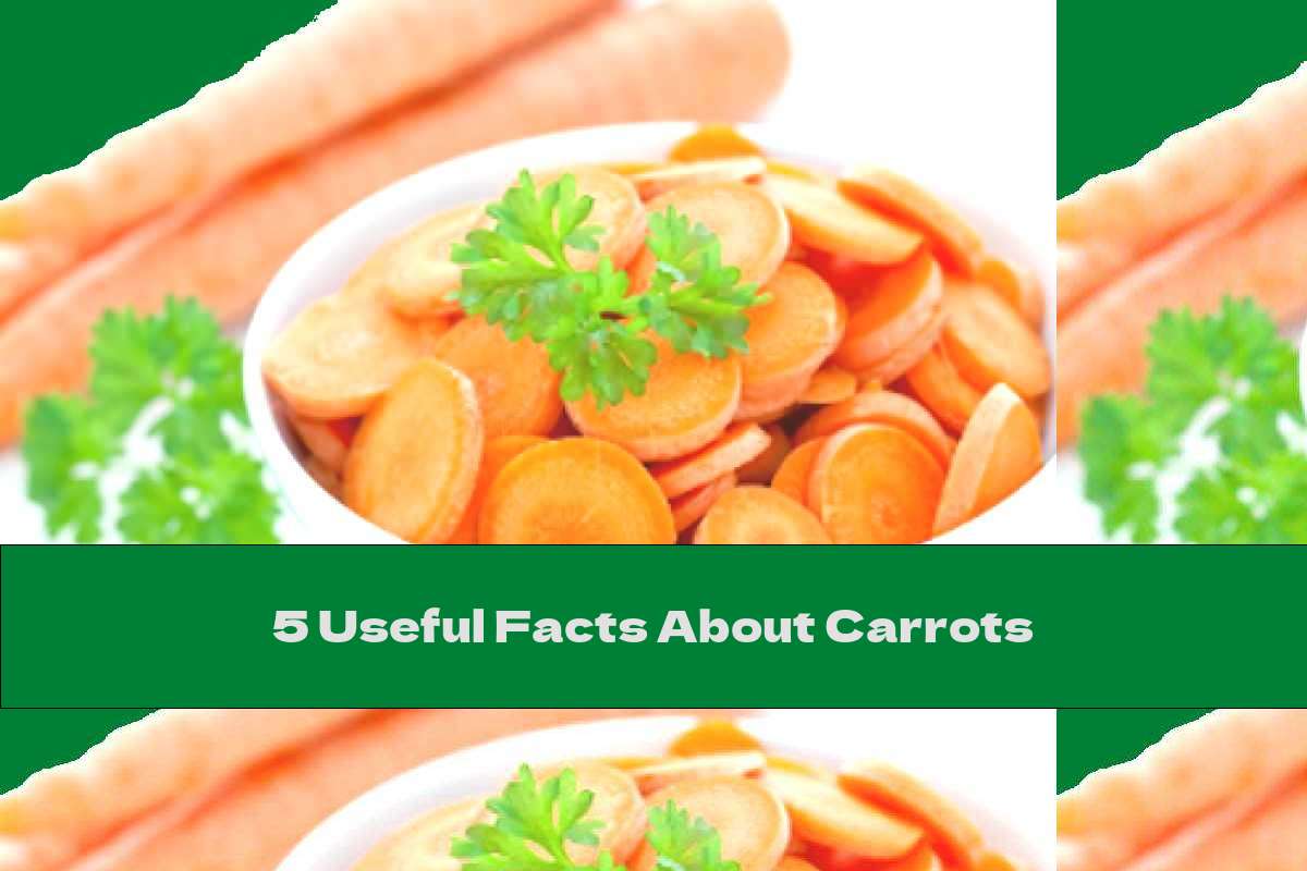 5 Useful Facts About Carrots