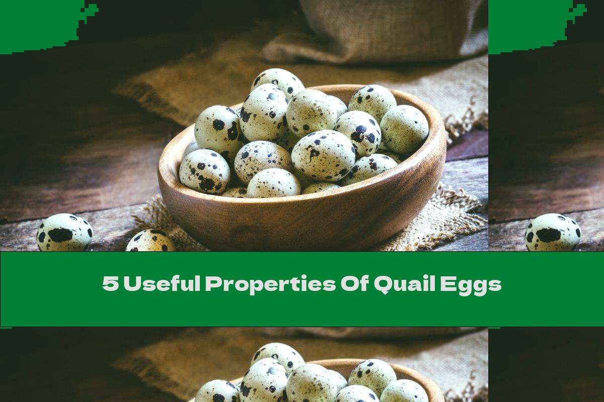 5 Useful Properties Of Quail Eggs This Nutrition