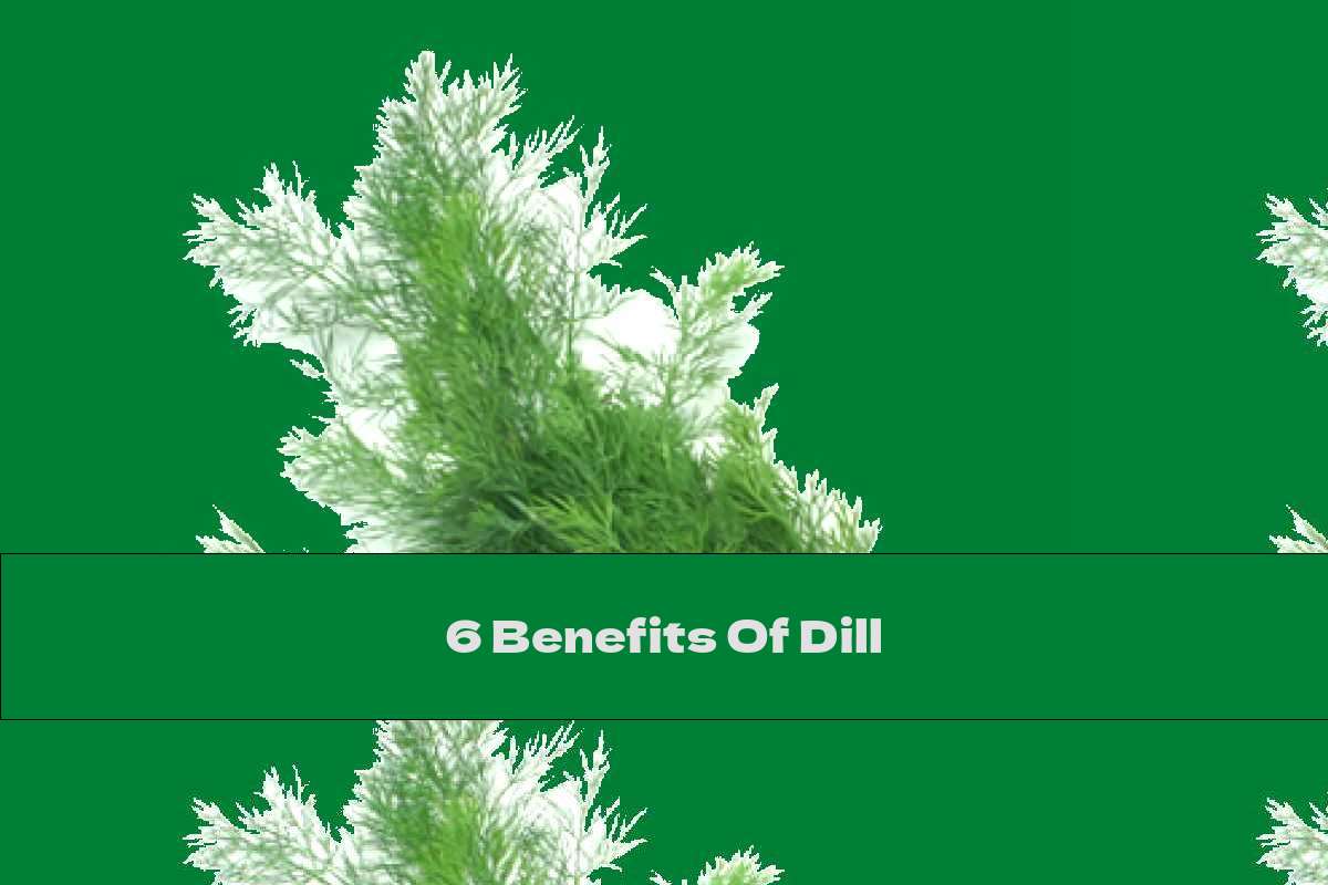 6 Benefits Of Dill This Nutrition
