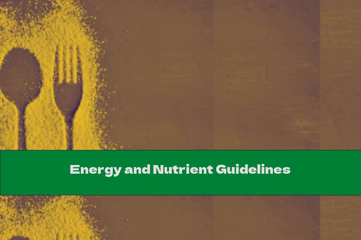 Energy and Nutrient Guidelines