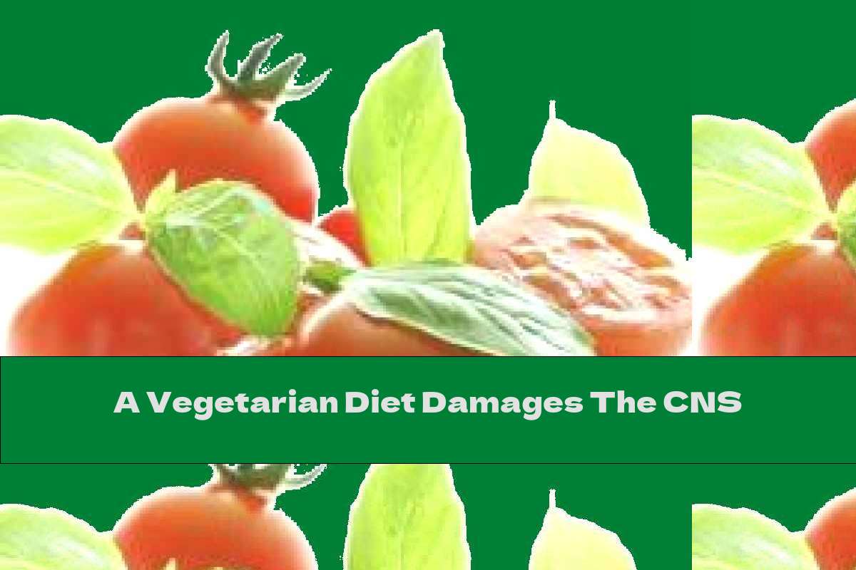 A Vegetarian Diet Damages The CNS