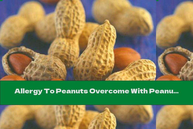 Allergy To Peanuts Overcome With Peanut Flour