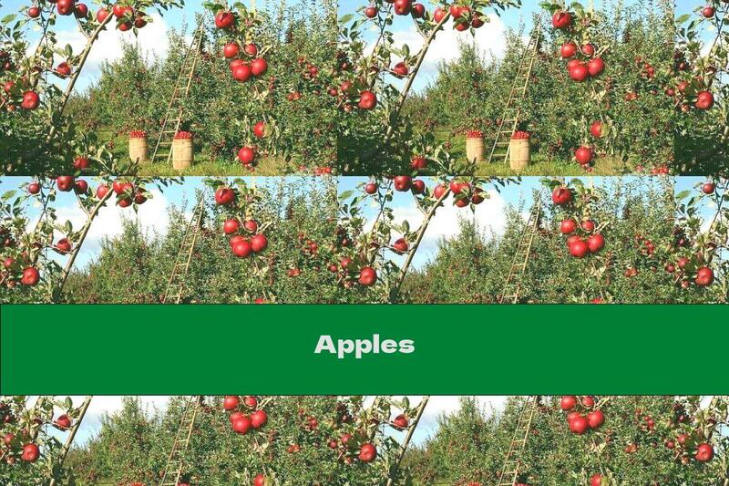 Apples
