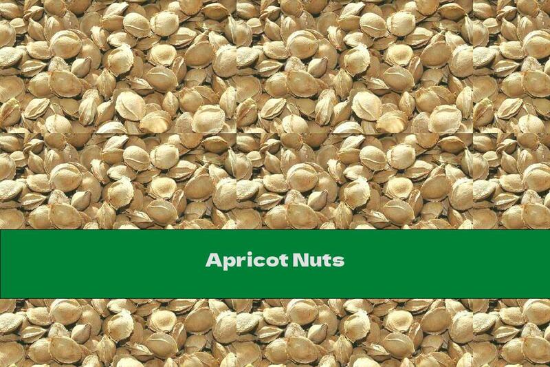 Apricot Nuts
