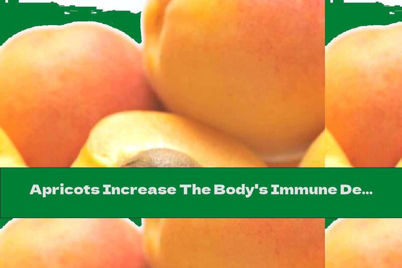 Apricots Increase The Body's Immune Defenses