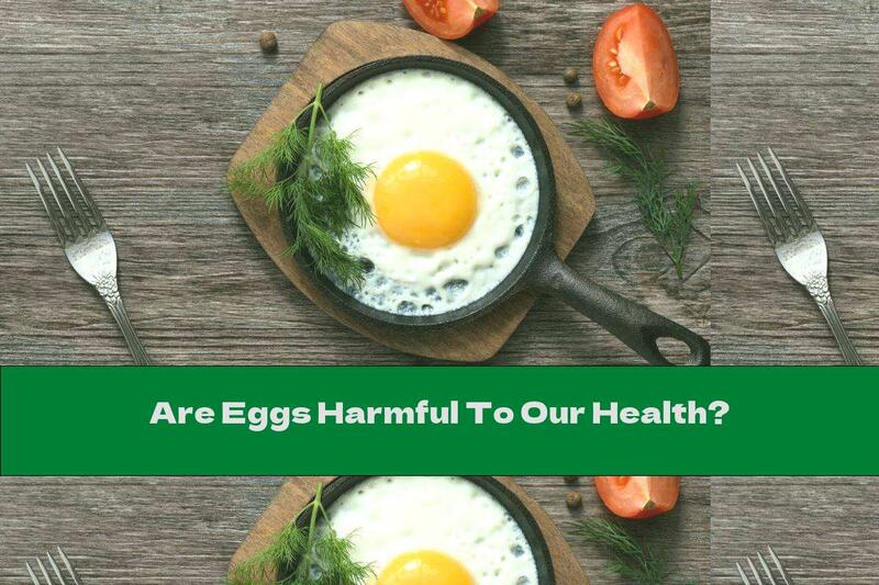 Are Eggs Harmful To Our Health?