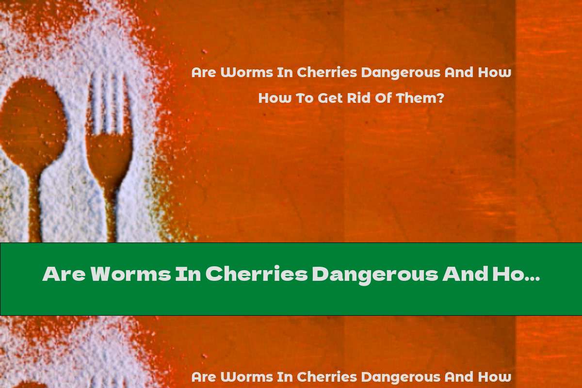 Are Worms In Cherries Dangerous And How To Get Rid Of Them?