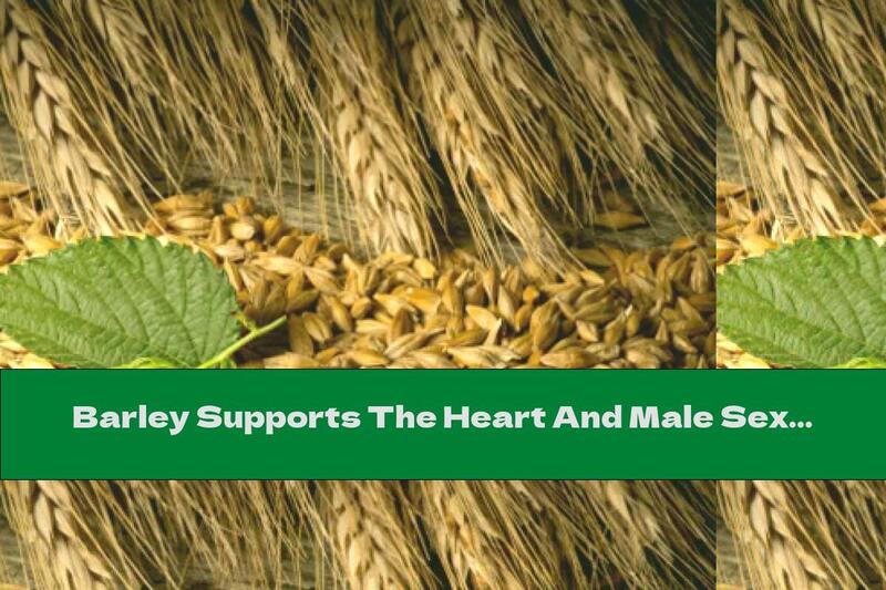 Barley Supports The Heart And Male Sexual Function