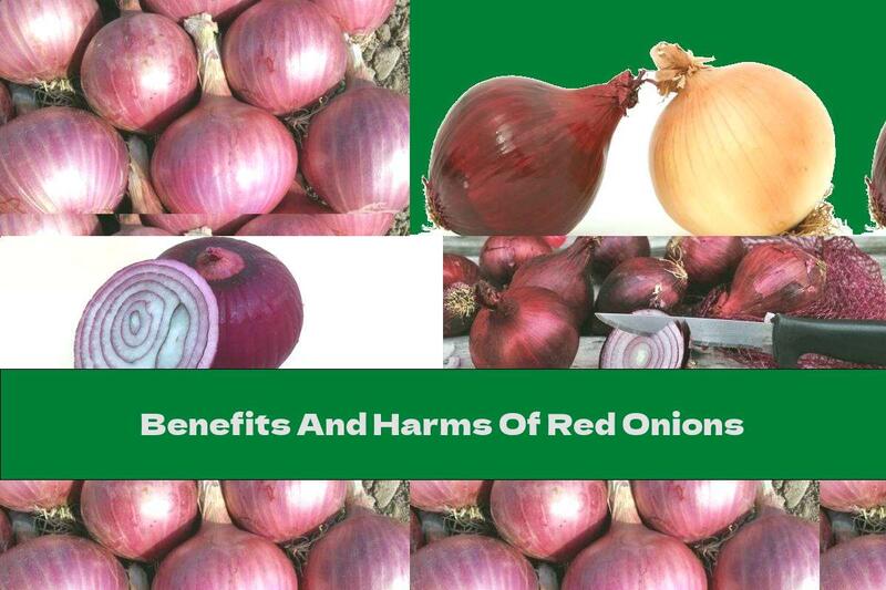 Benefits And Harms Of Red Onions
