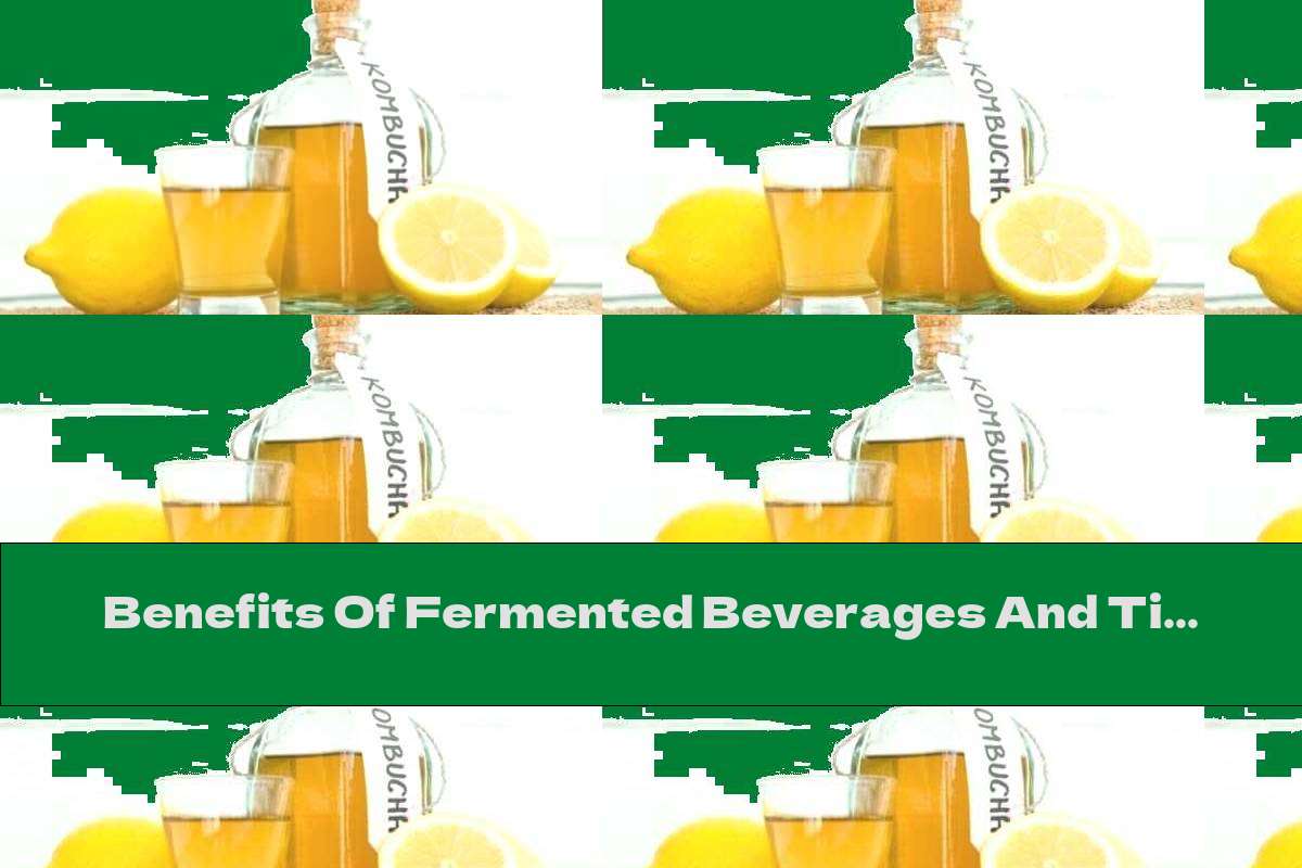 Benefits Of Fermented Beverages And Tips For Their Preparation