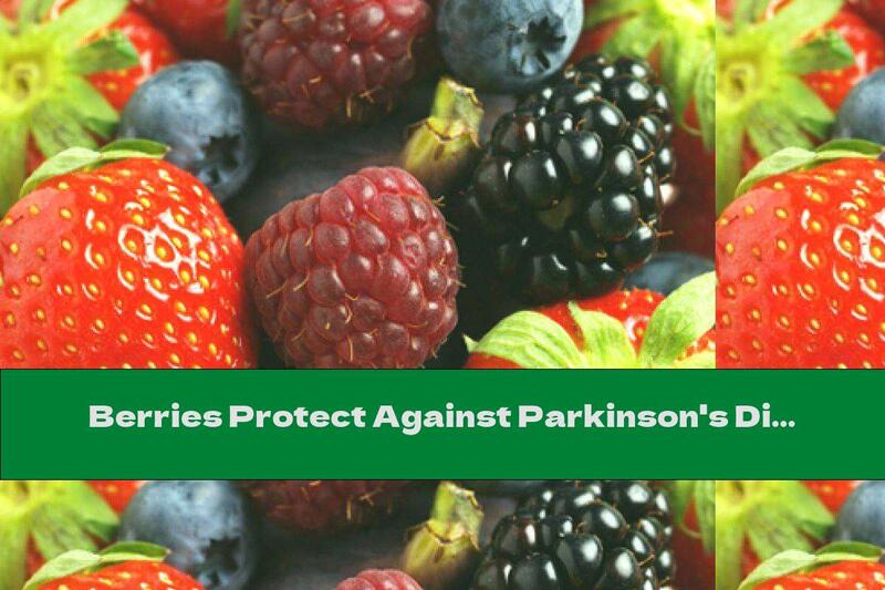 Berries Protect Against Parkinson's Disease