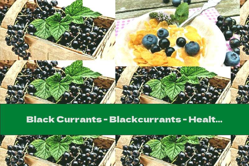 Black Currants - Blackcurrants - Health Benefits And Composition