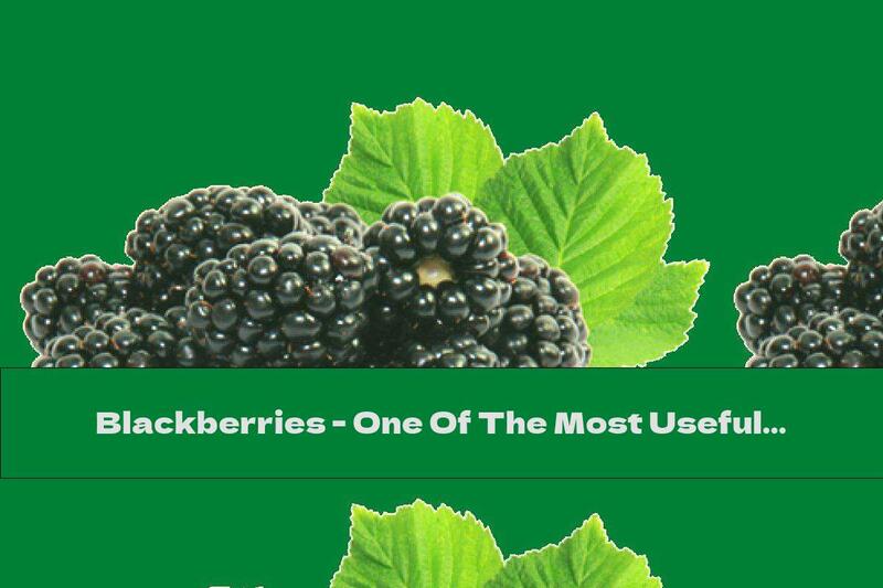 Blackberries - One Of The Most Useful Fruits For Health