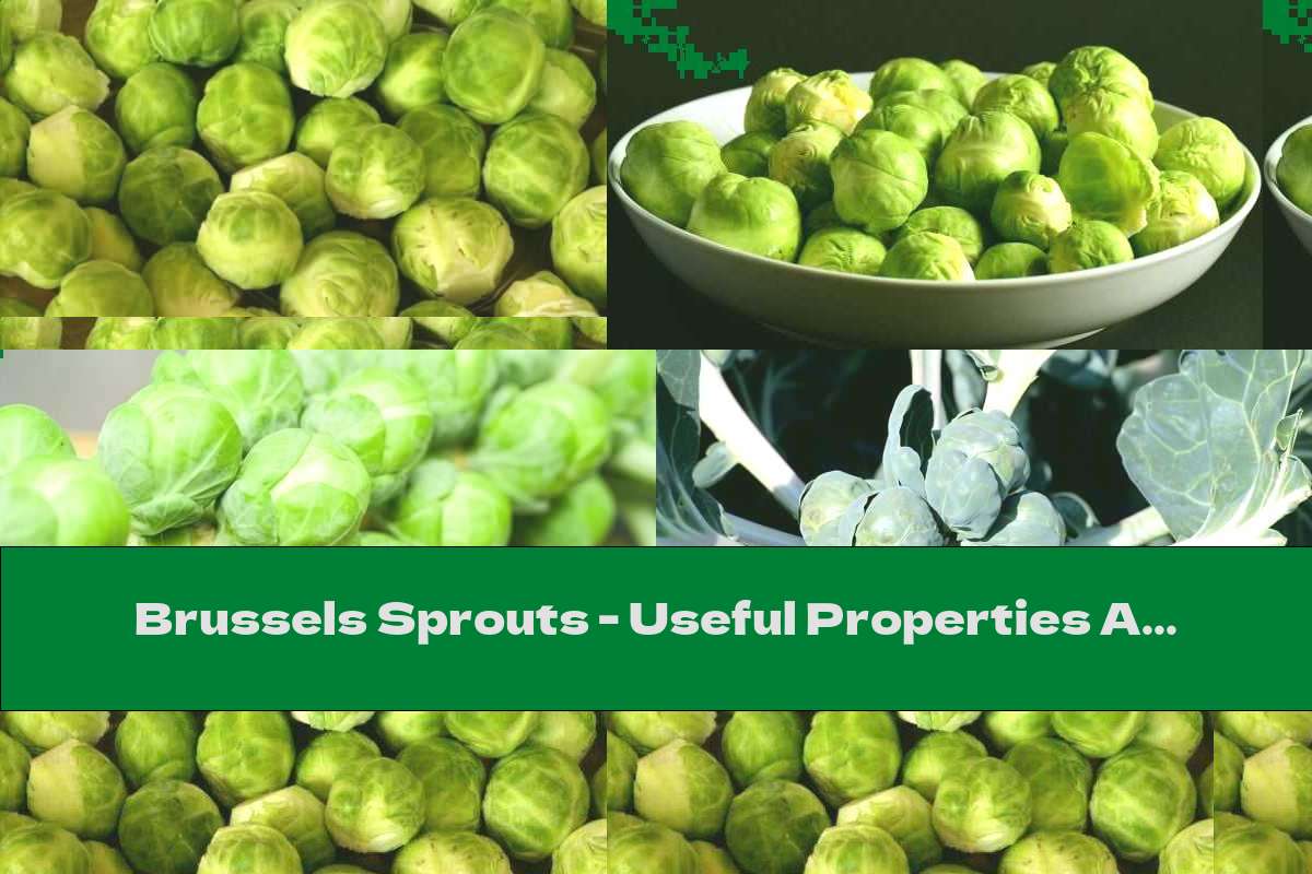 Brussels Sprouts - Useful Properties And Contraindications