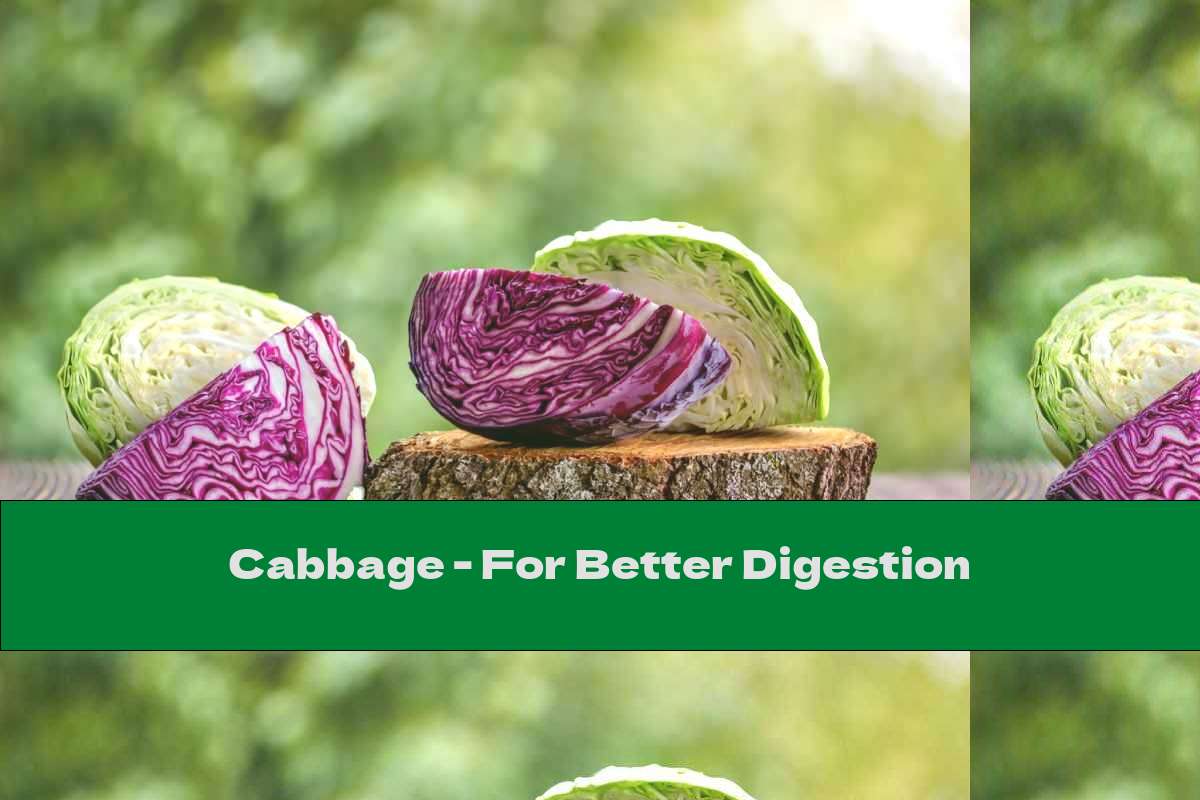Cabbage - For Better Digestion