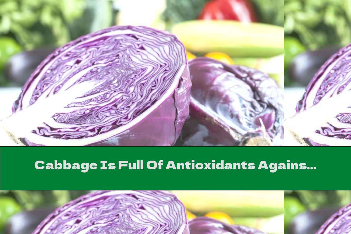 Cabbage Is Full Of Antioxidants Against Cancer