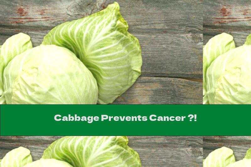 Cabbage Prevents Cancer ?!