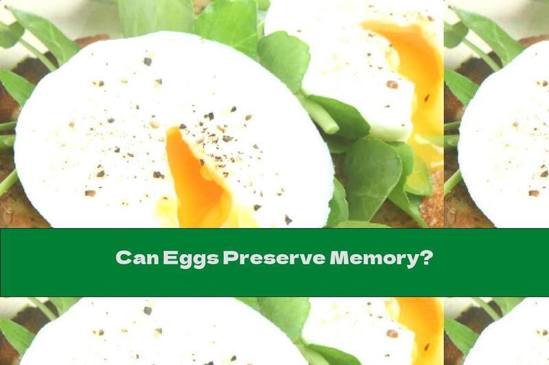 Can Eggs Preserve Memory?