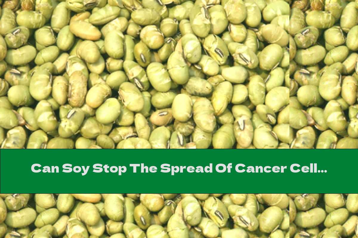 Can Soy Stop The Spread Of Cancer Cells? This Nutrition
