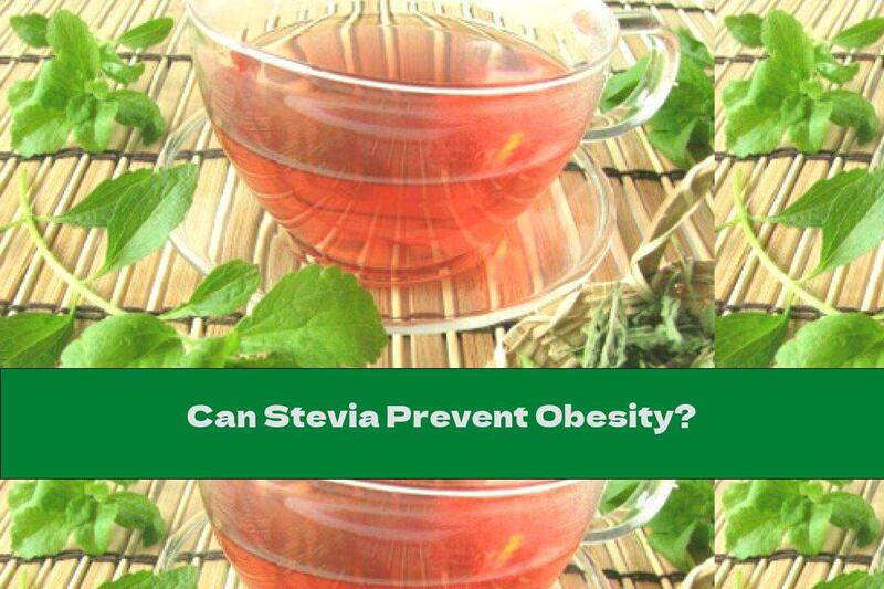 Can Stevia Prevent Obesity?