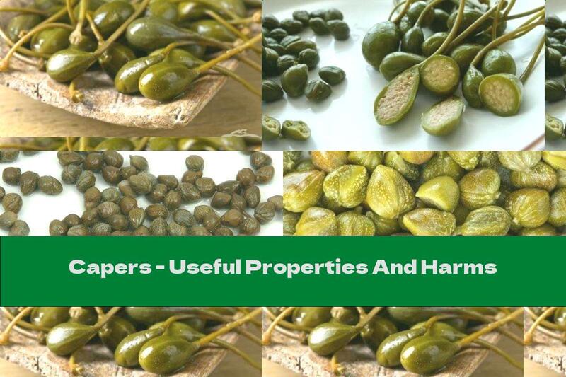 Capers - Useful Properties And Harms