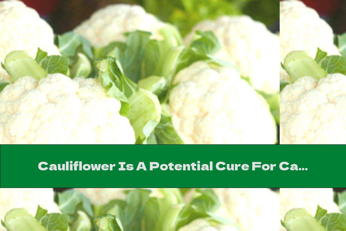 Cauliflower Is A Potential Cure For Cancer