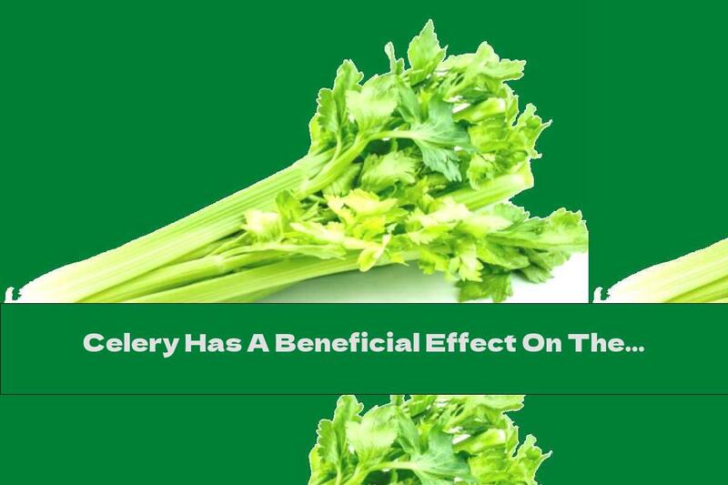 Celery Has A Beneficial Effect On The Whole Body