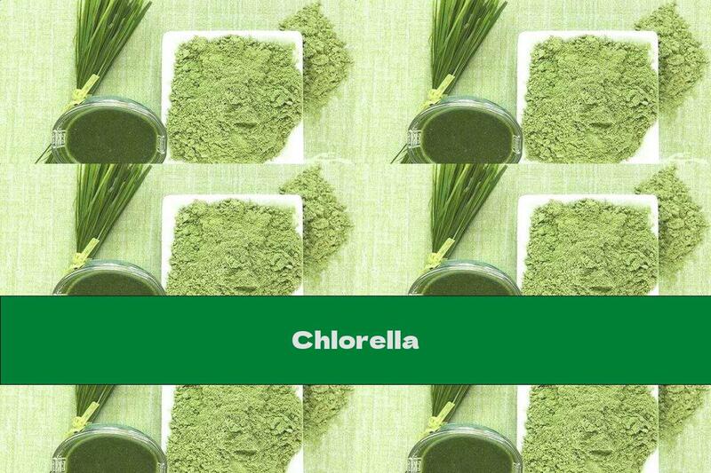 Chlorella