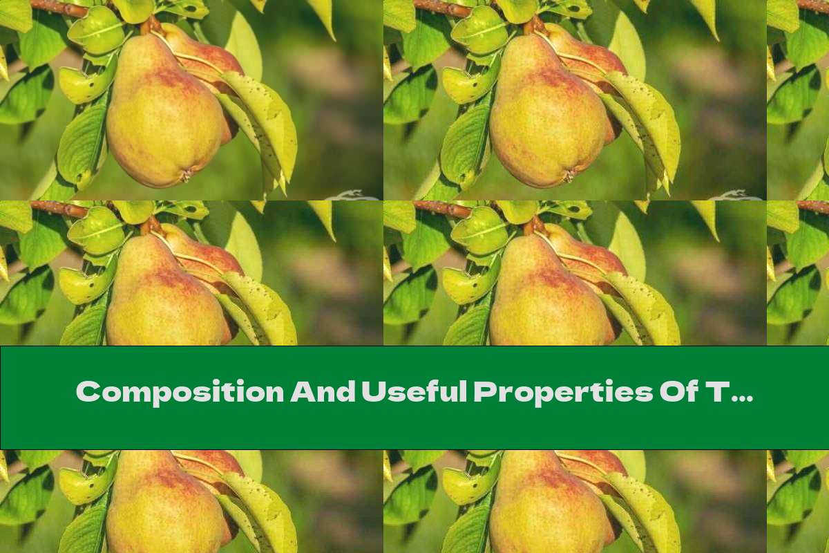 Composition And Useful Properties Of The Pear