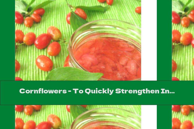 Cornflowers - To Quickly Strengthen Intestinal Function