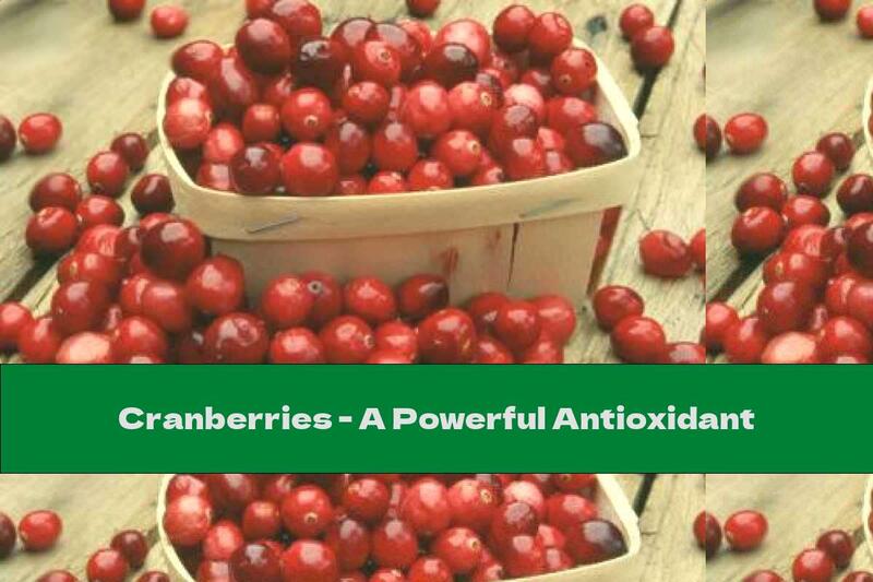 Cranberries - A Powerful Antioxidant