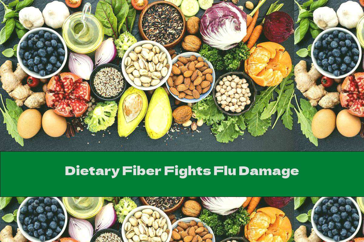 Dietary Fiber Fights Flu Damage