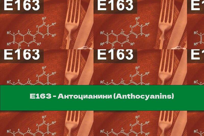 E163 - Anthocyanins