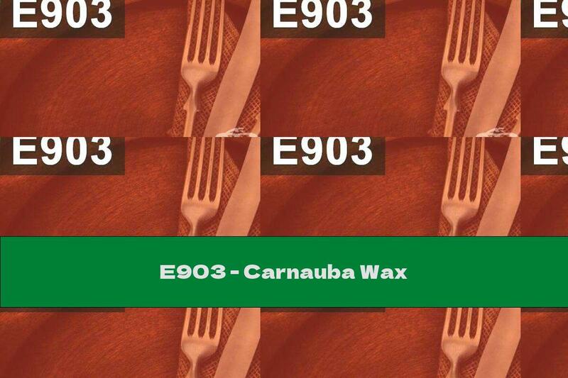 E903 - Carnauba Wax