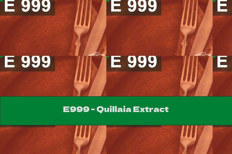 E999 - Quillaia Extract