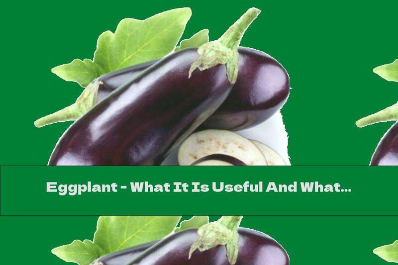 Eggplant - What It Is Useful And What It Is Harmful