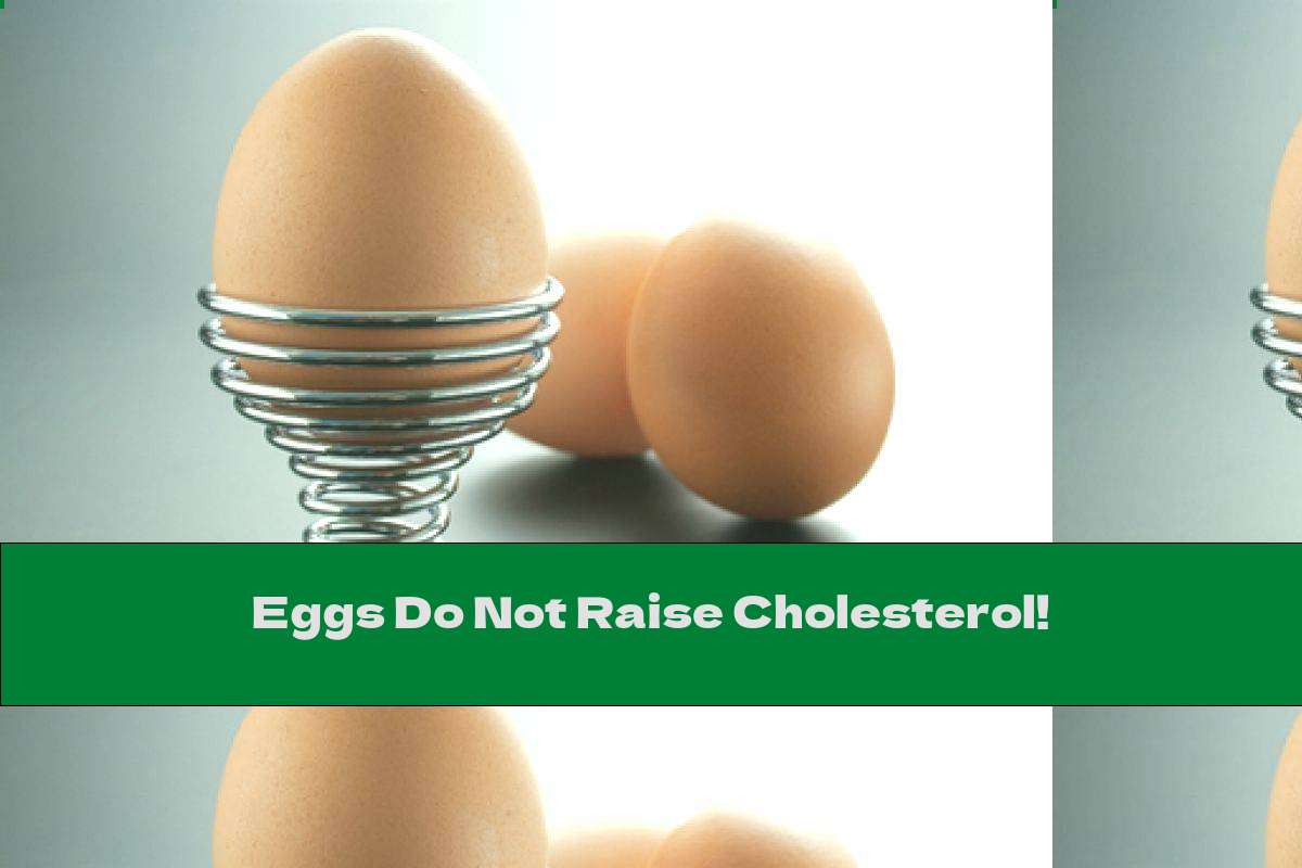 Eggs Do Not Raise Cholesterol!