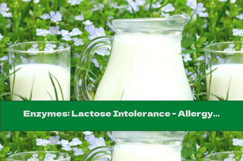 Enzymes: Lactose Intolerance - Allergy Or Not?