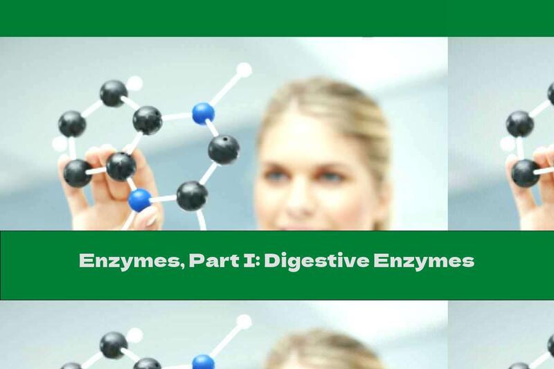 Enzymes, Part I: Digestive Enzymes