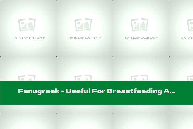 Fenugreek - Useful For Breastfeeding And Diabetes