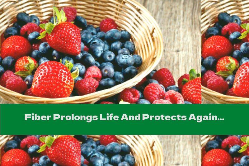 Fiber Prolongs Life And Protects Against Disease