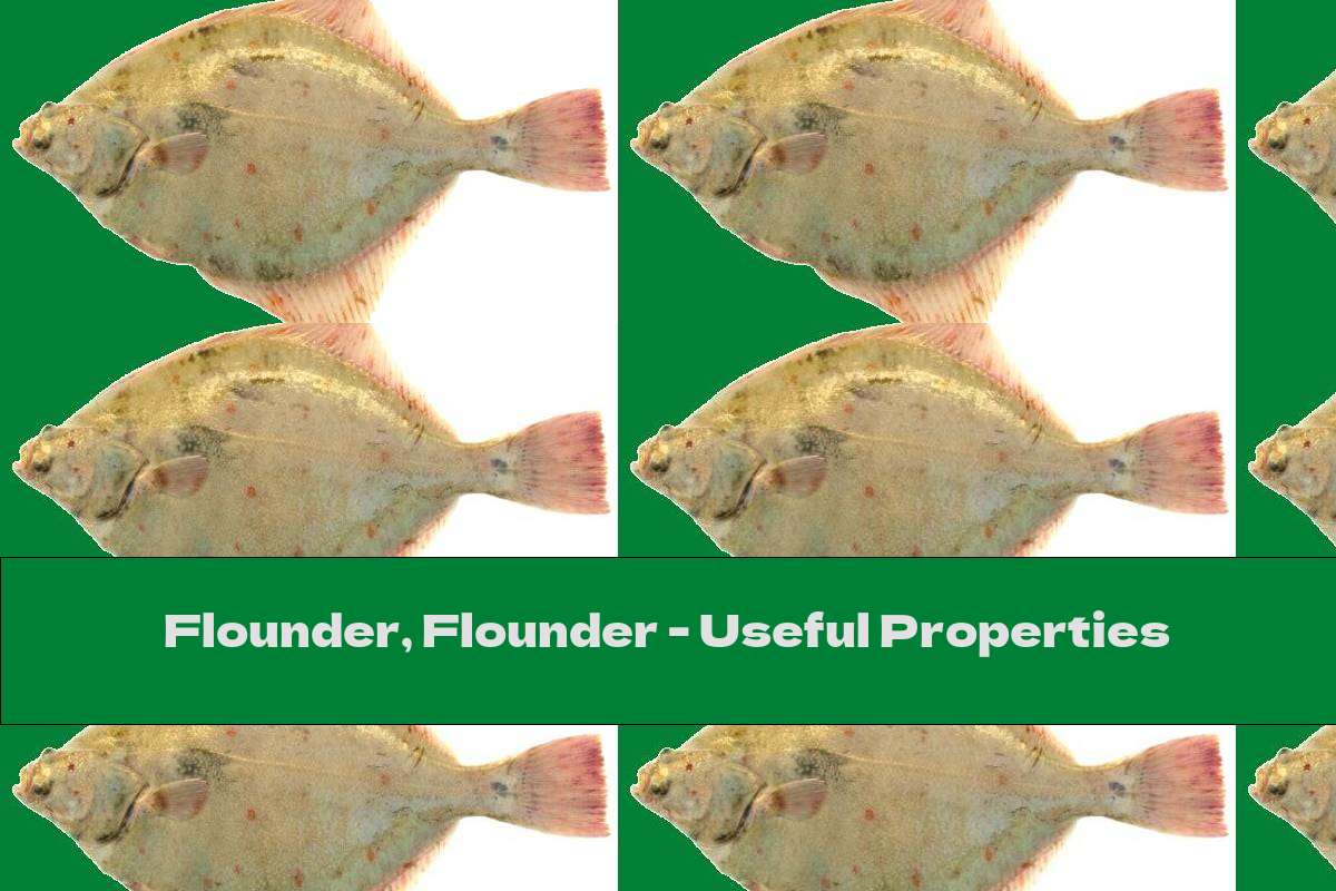 Flounder, Flounder Useful Properties This Nutrition