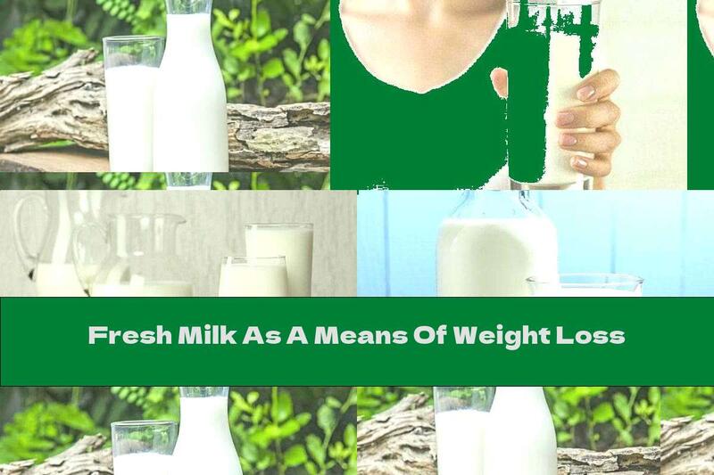 Fresh Milk As A Means Of Weight Loss