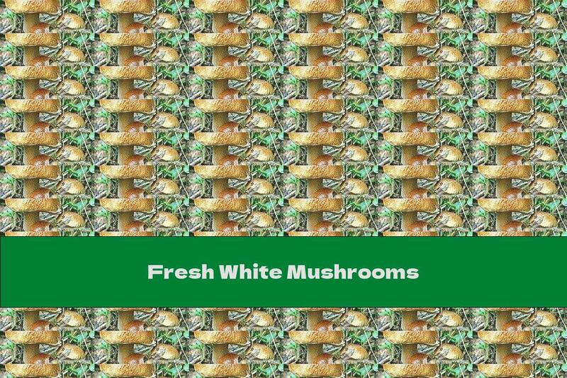 Fresh White Mushrooms