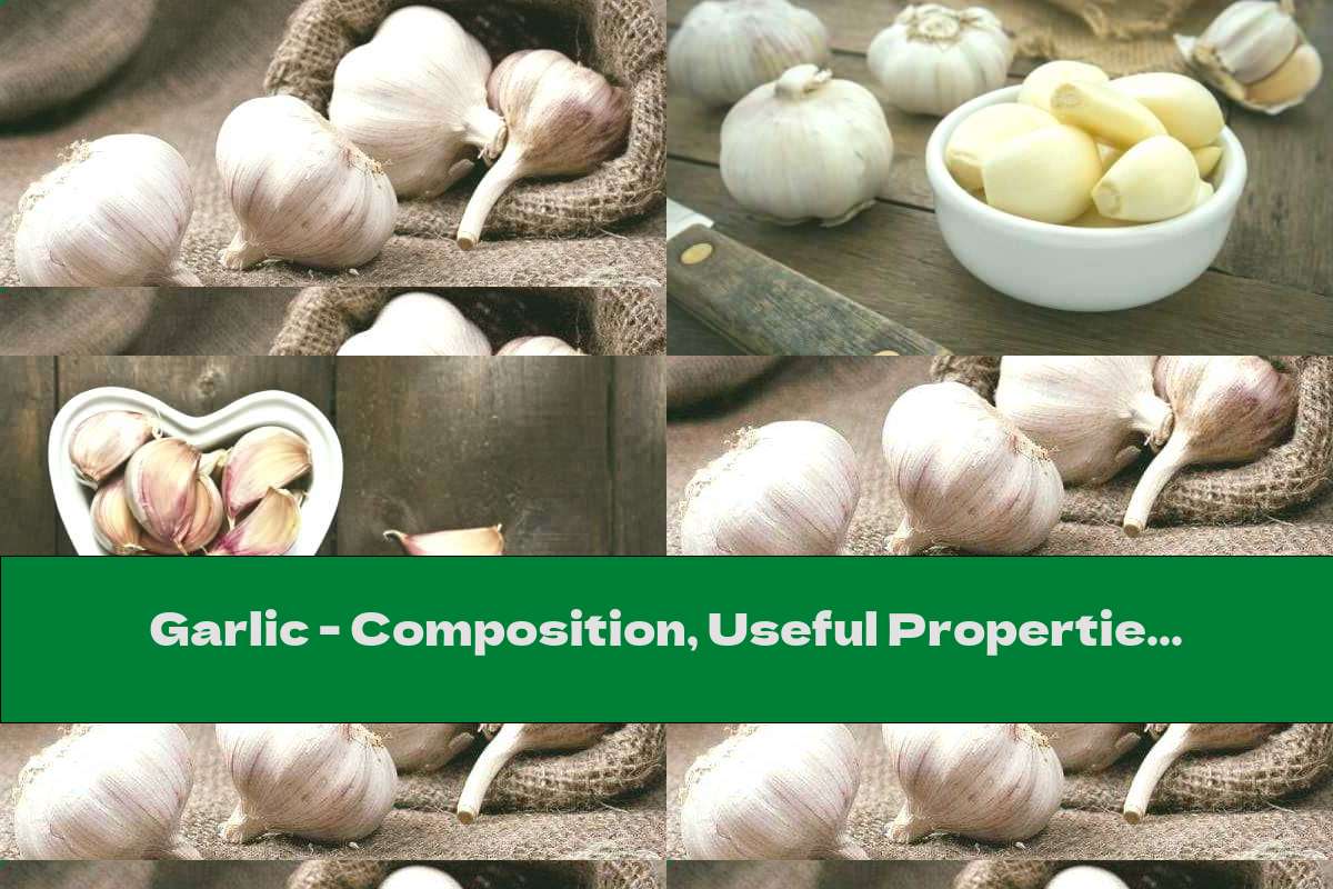 Garlic - Composition, Useful Properties And Contraindications