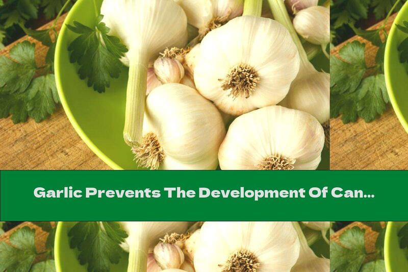 Garlic Prevents The Development Of Cancer