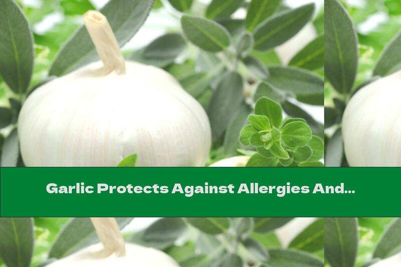 Garlic Protects Against Allergies And Cancer